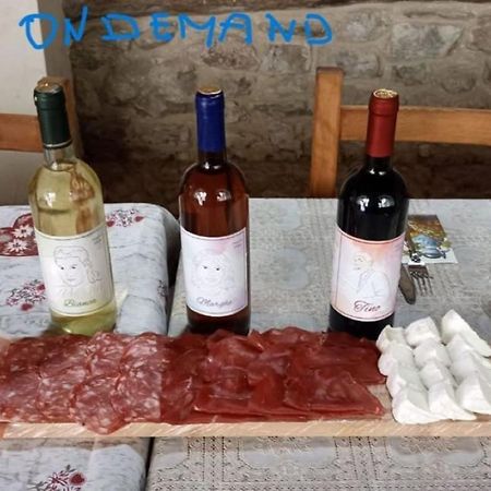 Villa La Cascina Della Vigna Del Viandante à Abbadia Lariana Extérieur photo